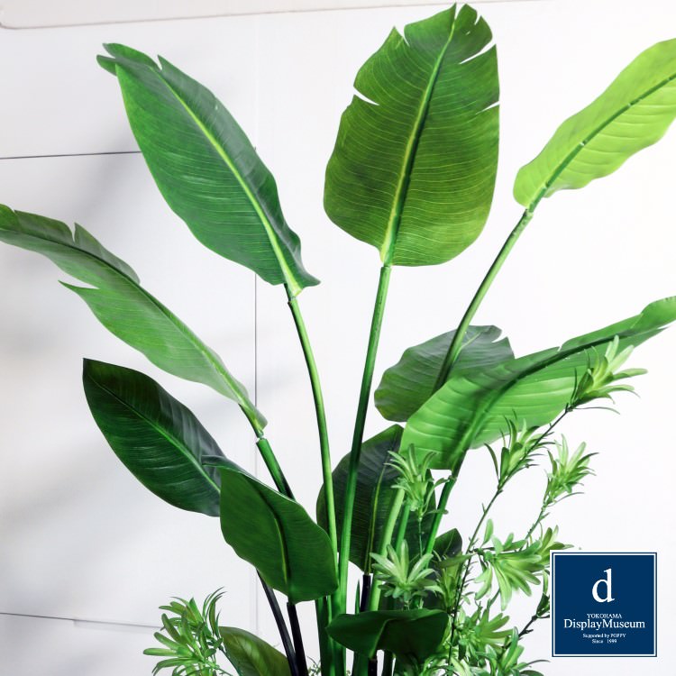 ꡼󥢥󥸥 ()200cmòͥǥץ쥤ߥ塼 FBCD-5016 ƥե륰꡼ ꡼󥢥󥸥 ¤ ١դ