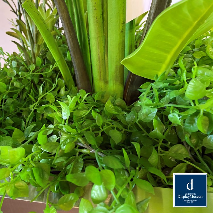 ꡼󥢥󥸥 ()200cmòͥǥץ쥤ߥ塼 FBCD-5016 ƥե륰꡼ ꡼󥢥󥸥 ¤ ١դ