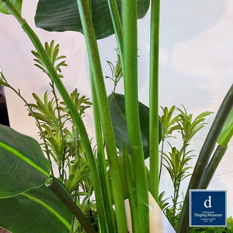 ꡼󥢥󥸥 ()200cmòͥǥץ쥤ߥ塼 FBCD-5016 ƥե륰꡼ ꡼󥢥󥸥 ¤ ١դ