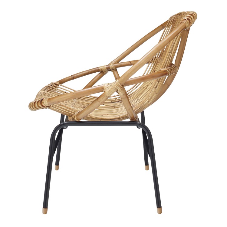 ��֥���������ë AZUMAYA W119��D69��H78��SH37cm �緿M �ǥ�����ե��˥��㡼 ����ƥꥢ �ȶ�