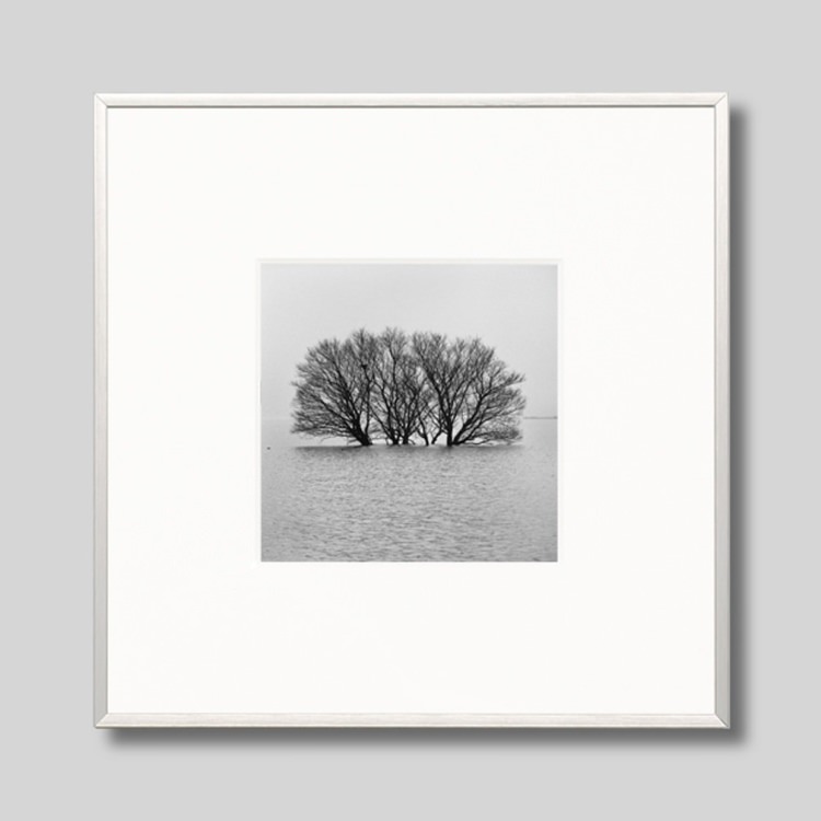 IGREBOW 츩 ߤʸС[ 11] ܥ ƥꥢե ԥ㡼 ̿