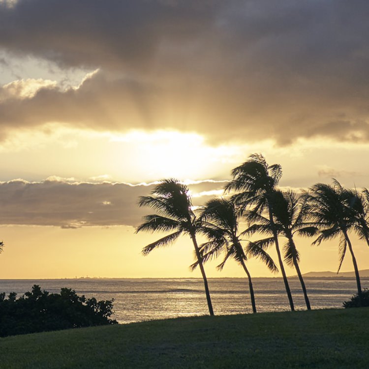 IGREBOW ϥ磻 ͼγȥ䥷ڡ[» 13] ܥ ƥꥢե ԥ㡼 ̿