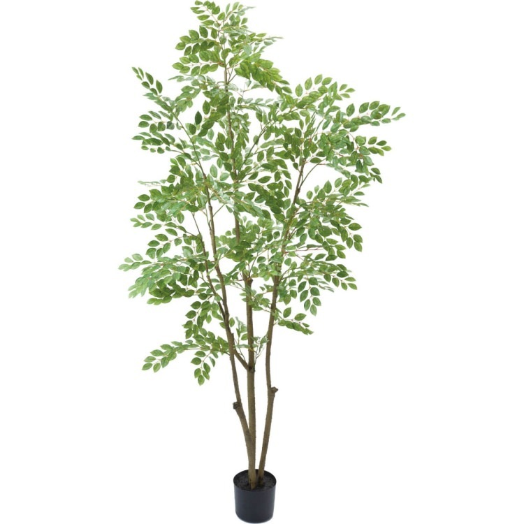 �ȥͥꥳ 180cm��GLP-1497 �����ƥ��ե�����륰�꡼�� �͹����տ�ʪ ���꡼��