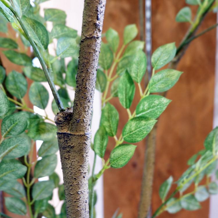 �ȥͥꥳ 180cm��GLP-1497 �����ƥ��ե�����륰�꡼�� �͹����տ�ʪ ���꡼��