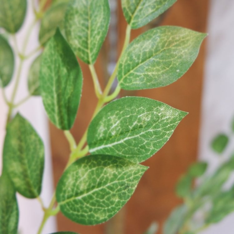 �ȥͥꥳ 180cm��GLP-1497 �����ƥ��ե�����륰�꡼�� �͹����տ�ʪ ���꡼��