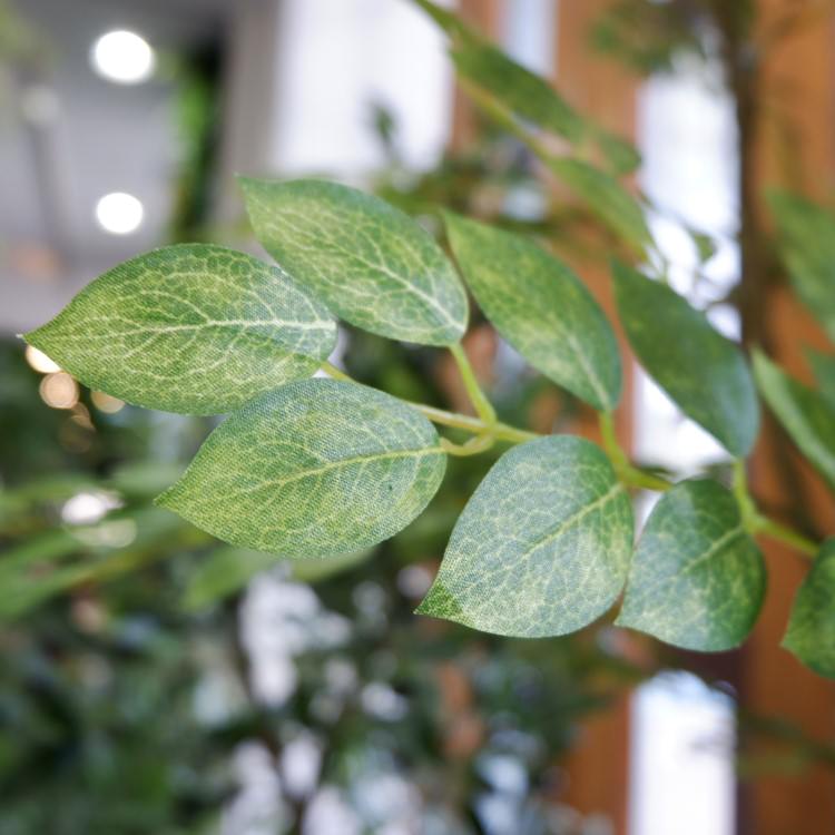 �ȥͥꥳ 180cm��GLP-1497 �����ƥ��ե�����륰�꡼�� �͹����տ�ʪ ���꡼��