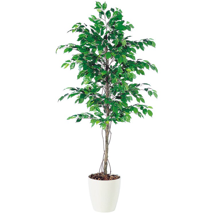 եå٥󥸥ߥ W90H200cmTK98517 ƥե륰꡼ ͹տʪ ͹ ȭդ꡼