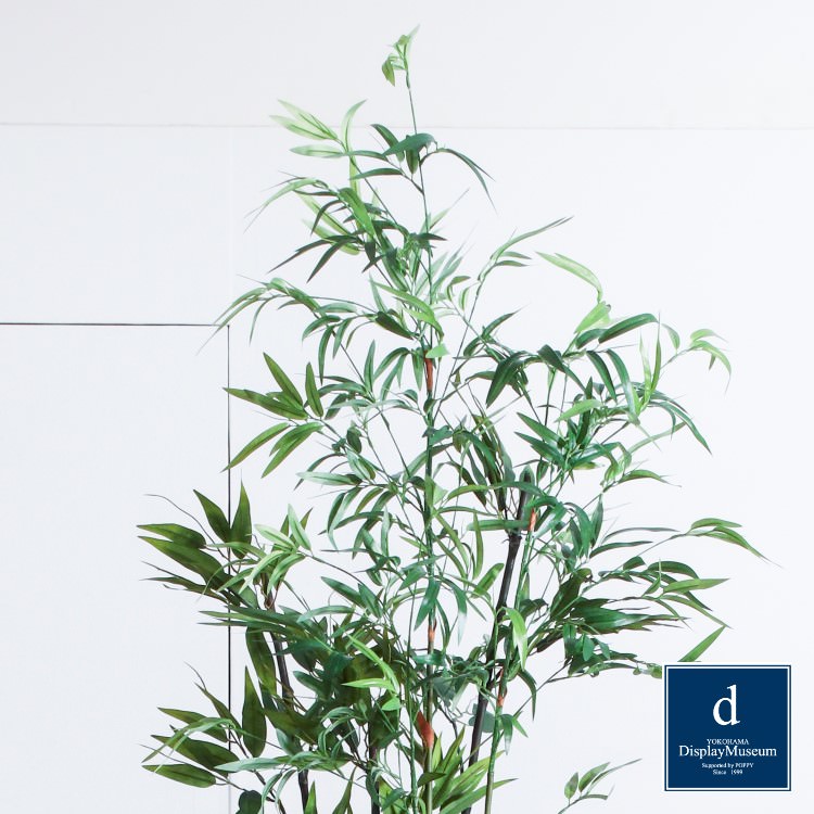 ꡼󥢥󥸥 ()200cmòͥǥץ쥤ߥ塼 FBCD-5017 ƥե륰꡼ ꡼󥢥󥸥 ¤ ١դ