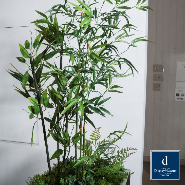 ꡼󥢥󥸥 ()200cmòͥǥץ쥤ߥ塼 FBCD-5017 ƥե륰꡼ ꡼󥢥󥸥 ¤ ١դ