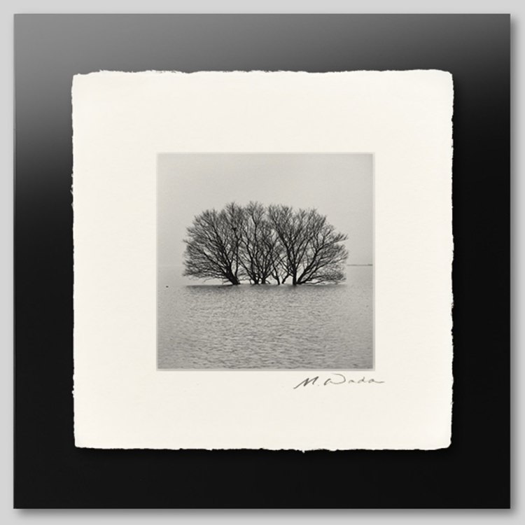 IGREBOW ���츩 �ߤ����ʸС�[�»� 1��1] ��������ܥ� ����ƥꥢ�ե��� �ԥ����㡼������ �̿�