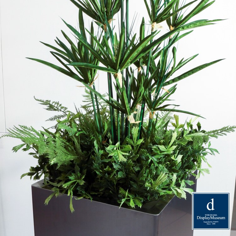 ꡼󥢥󥸥 (ڥ饹)180cmòͥǥץ쥤ߥ塼 FBCD-5018 ƥե륰꡼ ꡼󥢥󥸥 ¤ ١դ