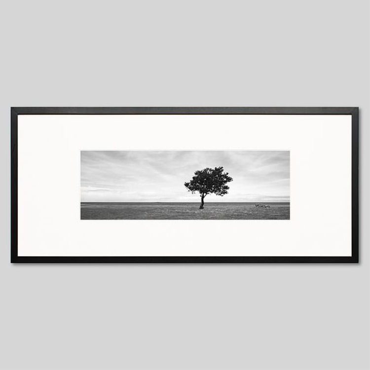 IGREBOW �˥塼����ɥ˥� �����ɥơ�����̥����� ���ߤ�1�ܤ��ڡ�[���å� 1��3] ��������ܥ� ����ƥꥢ�ե��� �ԥ����㡼������ �̿�