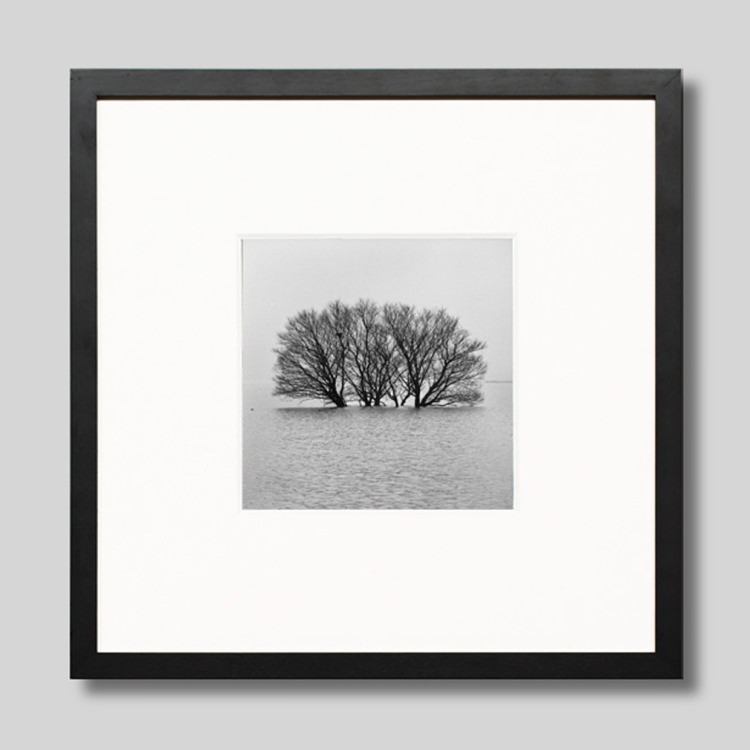 IGREBOW 츩 ߤʸС[å 11] ܥ ƥꥢե ԥ㡼 ̿