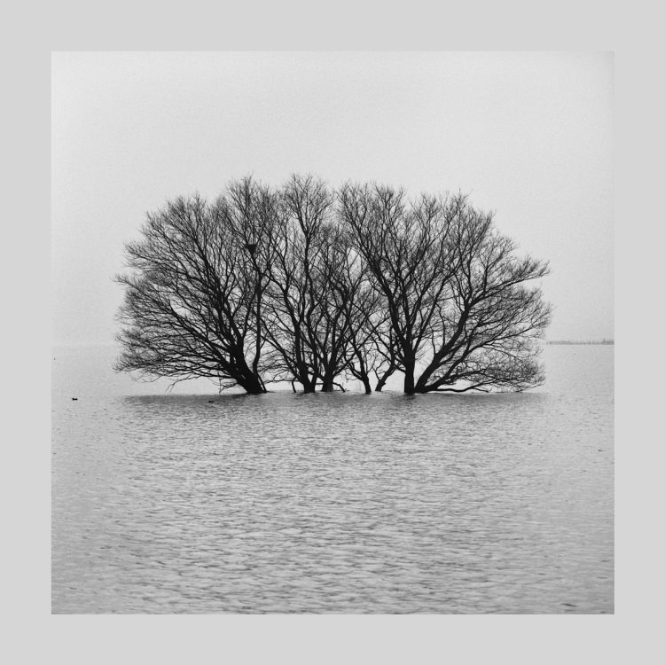 IGREBOW 츩 ߤʸС[å 11] ܥ ƥꥢե ԥ㡼 ̿