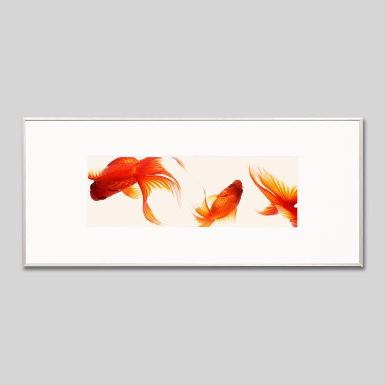 IGREBOW [ 13] ܥ ƥꥢե ԥ㡼 ̿