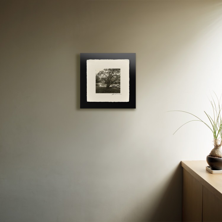 IGREBOW ˥塼衼 ȥѡӡ[» 11] ܥ ƥꥢե ԥ㡼 ̿