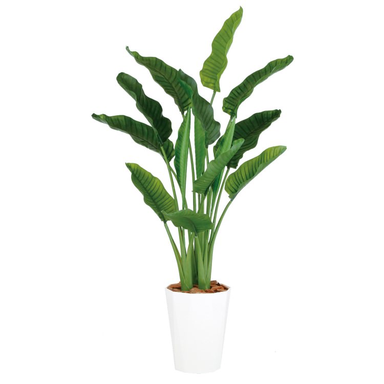 ȥ MIX W110H170cmTK99174 ƥե륰꡼ ͹տʪ ͹ ȭդ꡼