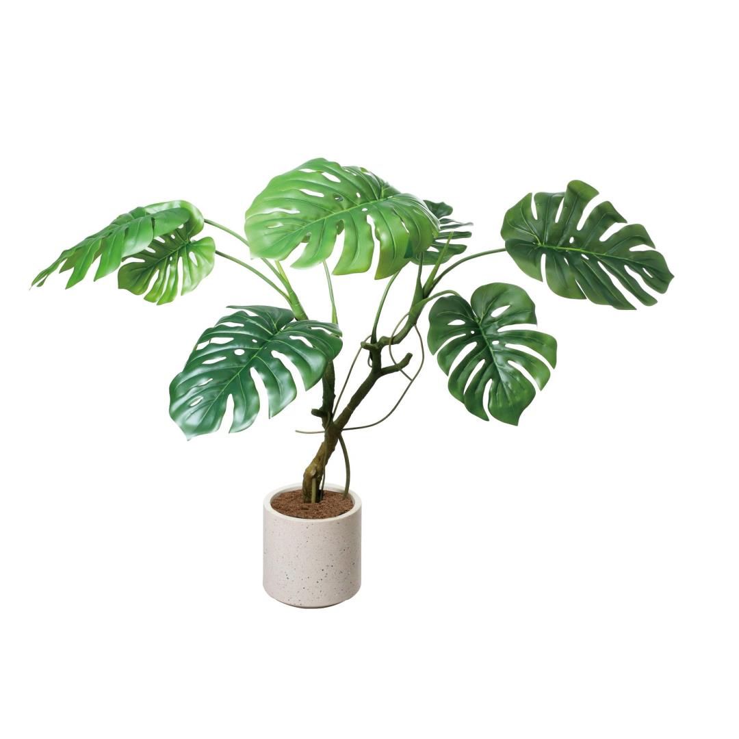 ��󥹥ƥ�ݥå� 110cm��GLA-1582 �����ƥ��ե�����륰�꡼�� �͹����տ�ʪ ���꡼��