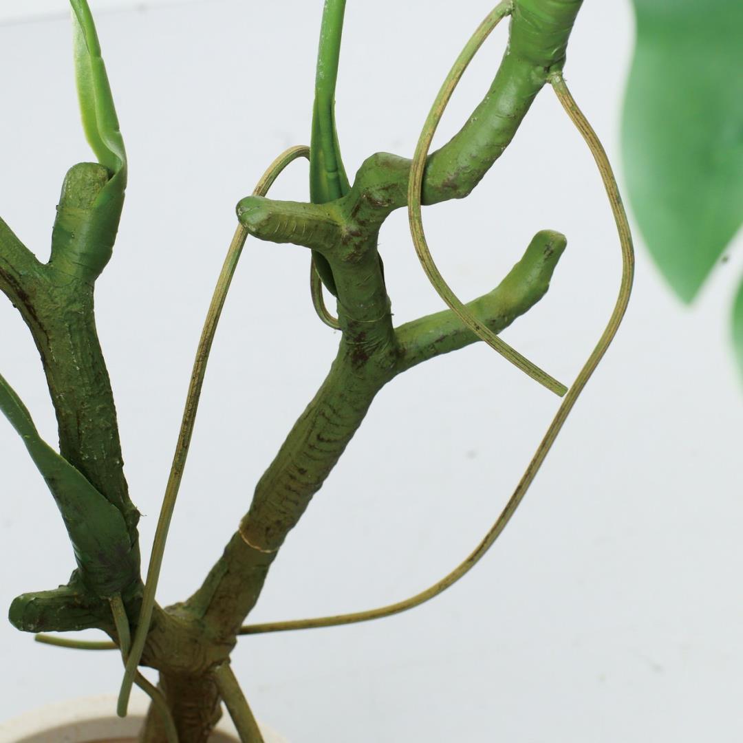 ��󥹥ƥ�ݥå� 110cm��GLA-1582 �����ƥ��ե�����륰�꡼�� �͹����տ�ʪ ���꡼��