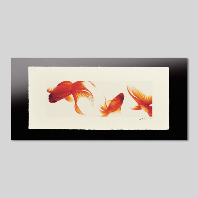 IGREBOW [» 13] ܥ ƥꥢե ԥ㡼 ̿