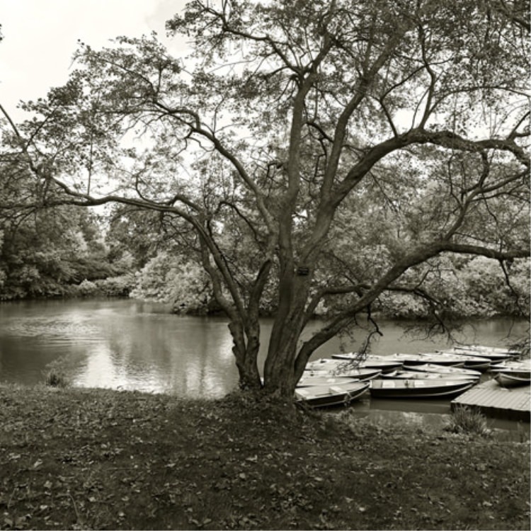 IGREBOW �˥塼�衼�� ����ȥ��ѡ������ӡ�[���å� 1��1] ��������ܥ� ����ƥꥢ�ե��� �ԥ����㡼������ �̿�