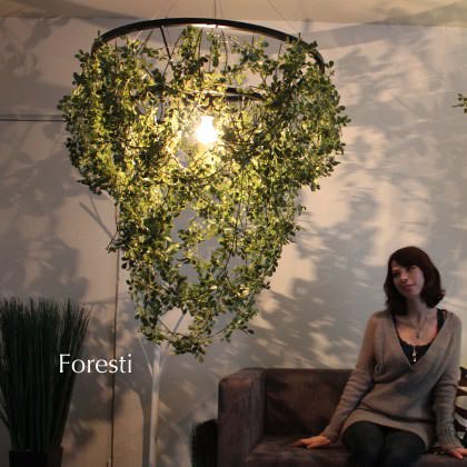 DI CLASSE(�ǥ�����å�)�Υڥ����ȥ��ס�Foresti grande �ե��쥹�ƥ������� ���꡼�� [Ǽ��̤��]