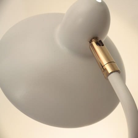 DI CLASSE(ǥå)ΥǥסArles WH  ۥ磻