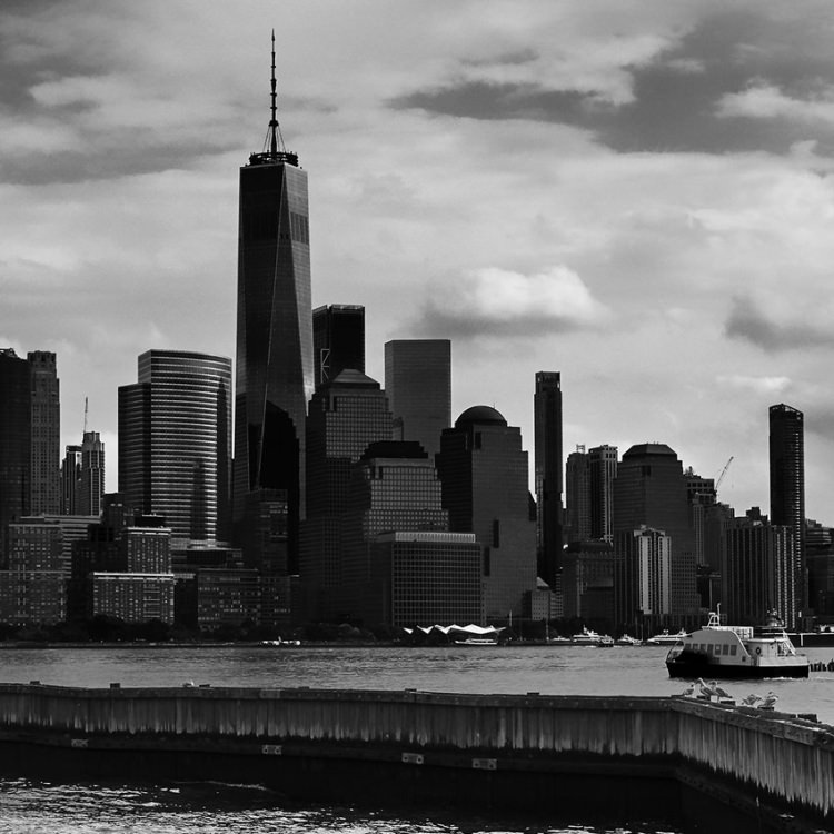 IGREBOW ˥塼衼 ˥塼ݡȤ鸫ޥϥå[å 12] ܥ ƥꥢե ԥ㡼 ̿