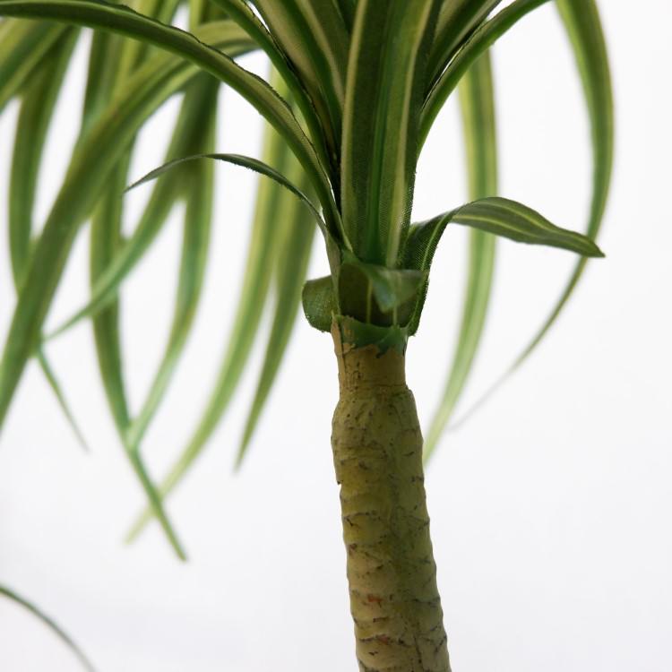 åݥå114cmF4186 ƥե륰꡼ ͹տʪ ͹ ʰȭդ꡼