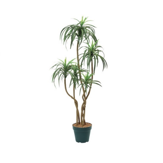 åݥå114cmF4186 ƥե륰꡼ ͹տʪ ͹ ʰȭդ꡼