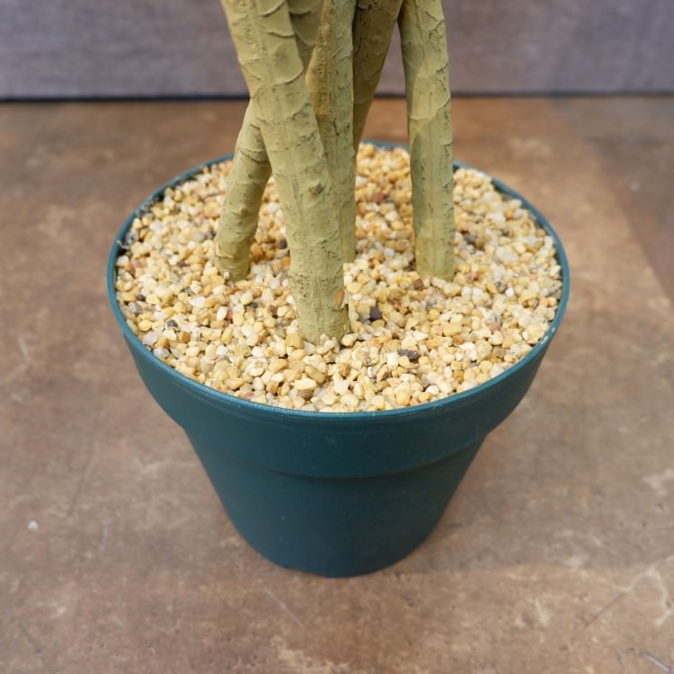 åݥå114cmF4186 ƥե륰꡼ ͹տʪ ͹ ʰȭդ꡼