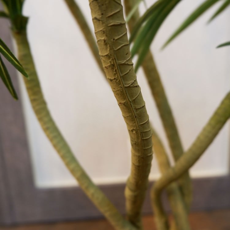 åݥå114cmF4186 ƥե륰꡼ ͹տʪ ͹ ʰȭդ꡼