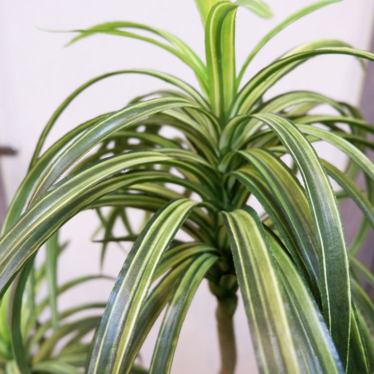 åݥå114cmF4186 ƥե륰꡼ ͹տʪ ͹ ʰȭդ꡼