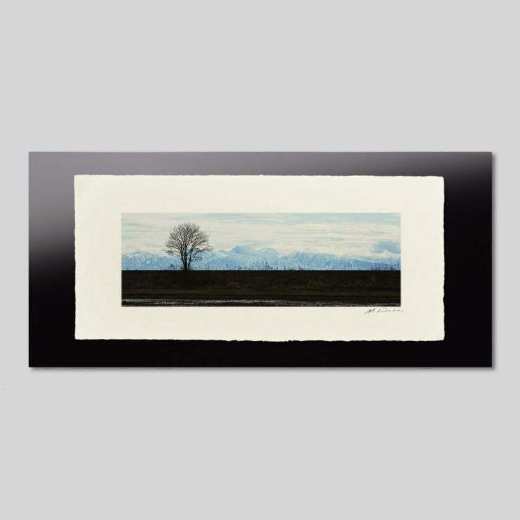 IGREBOW ���ǽ���� ���ɤ��ڤ�Ω��Ϣ����[�»� 1��3] ��������ܥ� ����ƥꥢ�ե��� �ԥ����㡼������ �̿�