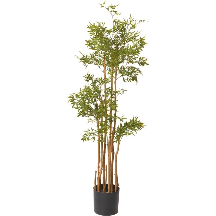 �ݥꥷ�㥹�ĥ꡼ 160cm��GLP-1505 �����ƥ��ե�����륰�꡼�� �͹����տ�ʪ ���꡼��