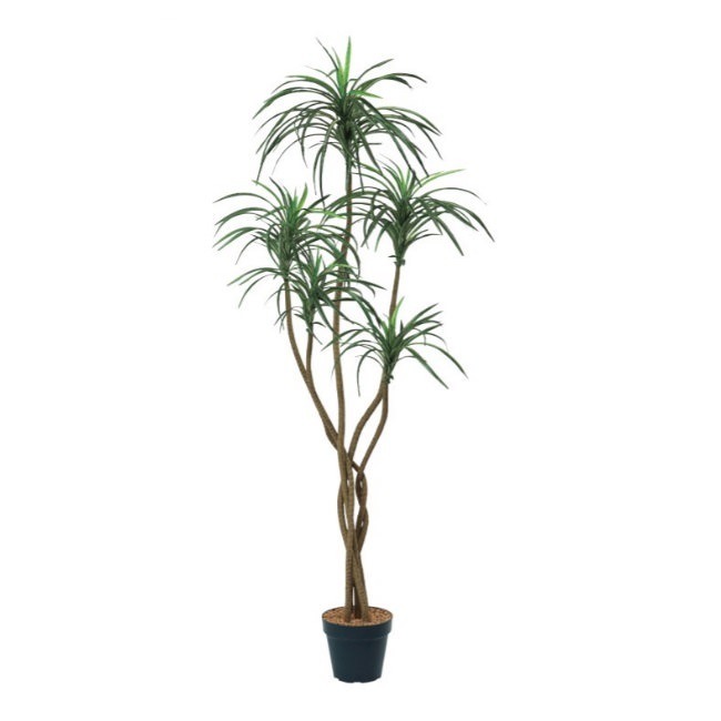 åݥå156cmF4187 ƥե륰꡼ ͹տʪ ͹ ʰȭդ꡼