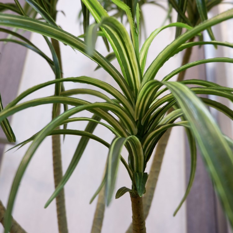 åݥå156cmF4187 ƥե륰꡼ ͹տʪ ͹ ʰȭդ꡼