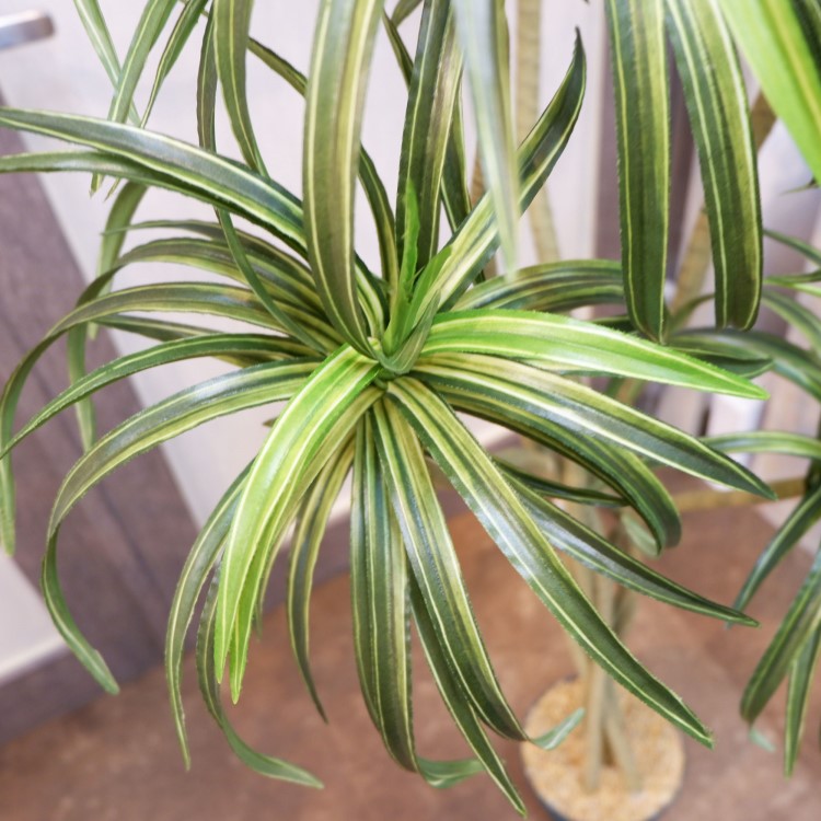 åݥå156cmF4187 ƥե륰꡼ ͹տʪ ͹ ʰȭդ꡼