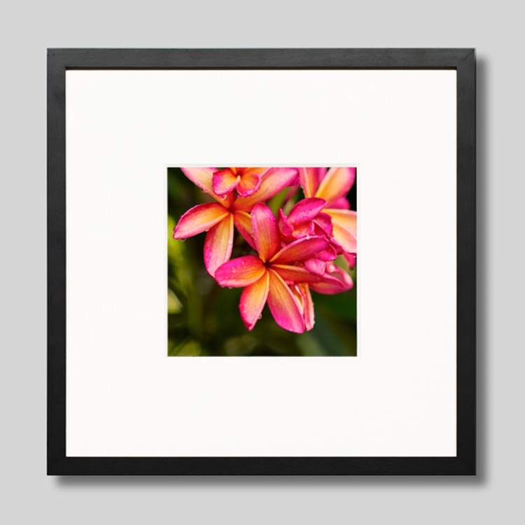 IGREBOW �ץ��ꥢ�β֡�[���å� 1��1] ��������ܥ� ����ƥꥢ�ե��� �ԥ����㡼������ �̿�