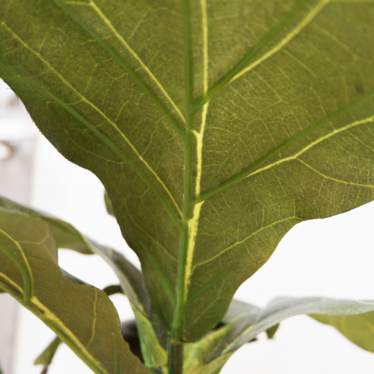 Хݥå100cmF5018 ƥե륰꡼ ͹տʪ ͹ ʰȭդ꡼