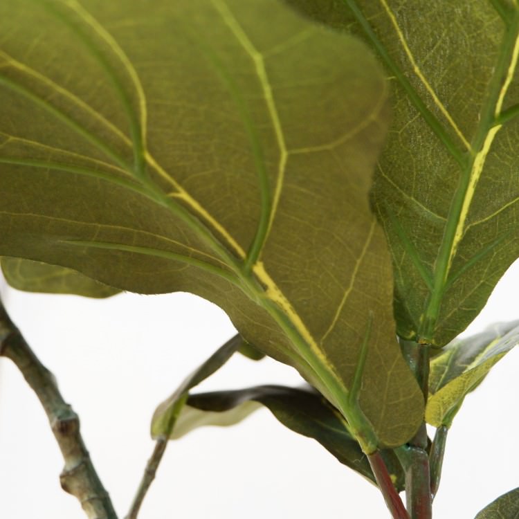 Хݥå100cmF5018 ƥե륰꡼ ͹տʪ ͹ ʰȭդ꡼