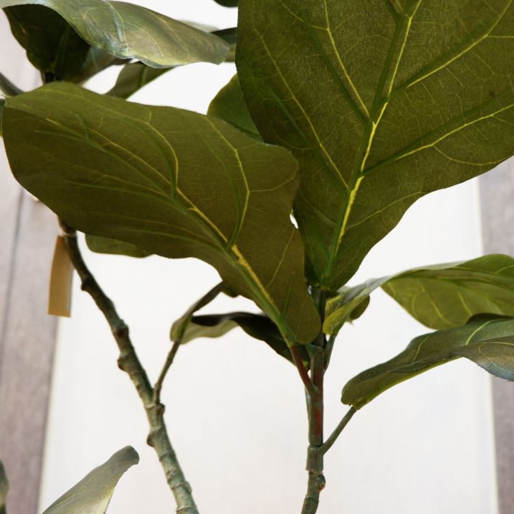 Хݥå100cmF5018 ƥե륰꡼ ͹տʪ ͹ ʰȭդ꡼