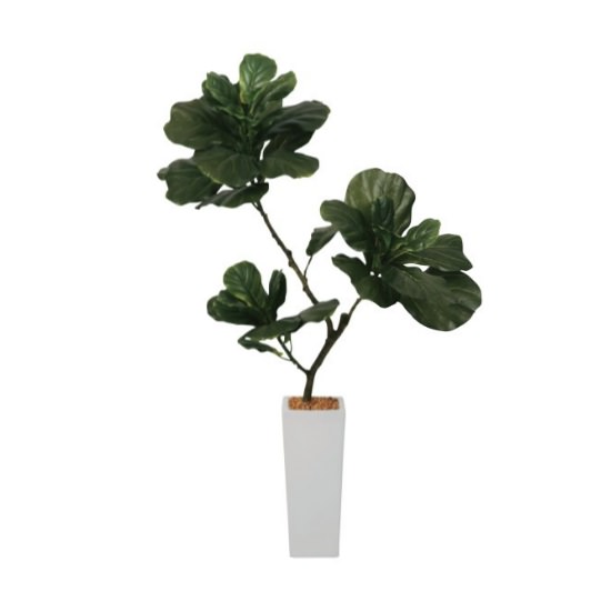 Хݥå100cmF5018 ƥե륰꡼ ͹տʪ ͹ ʰȭդ꡼