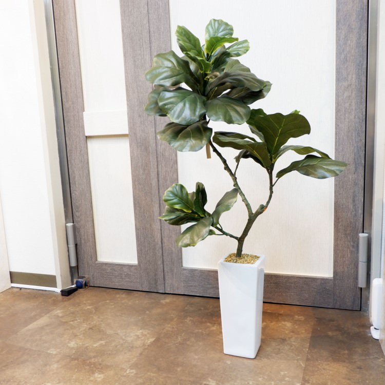 Хݥå100cmF5018 ƥե륰꡼ ͹տʪ ͹ ʰȭդ꡼