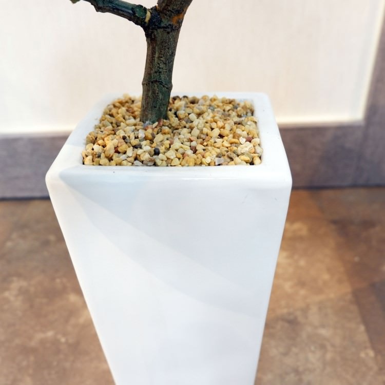 Хݥå100cmF5018 ƥե륰꡼ ͹տʪ ͹ ʰȭդ꡼