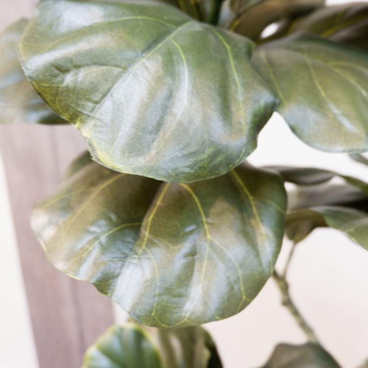 Хݥå100cmF5018 ƥե륰꡼ ͹տʪ ͹ ʰȭդ꡼