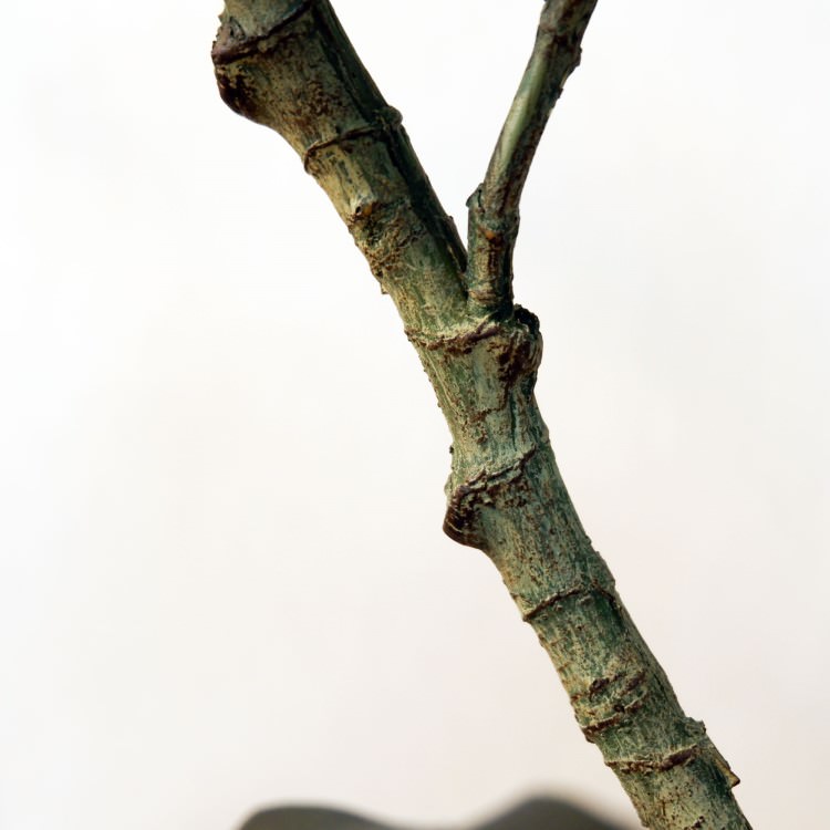 Хݥå100cmF5018 ƥե륰꡼ ͹տʪ ͹ ʰȭդ꡼