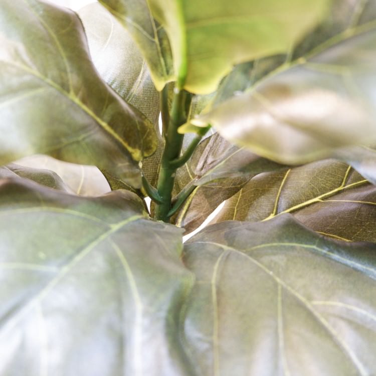 Хݥå100cmF5018 ƥե륰꡼ ͹տʪ ͹ ʰȭդ꡼