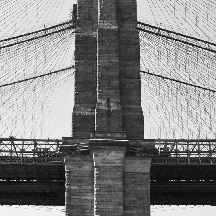 IGREBOW �˥塼�衼�� �֥�å����֥�å���[���å� 1��2] ��������ܥ� ����ƥꥢ�ե��� �ԥ����㡼������ �̿�