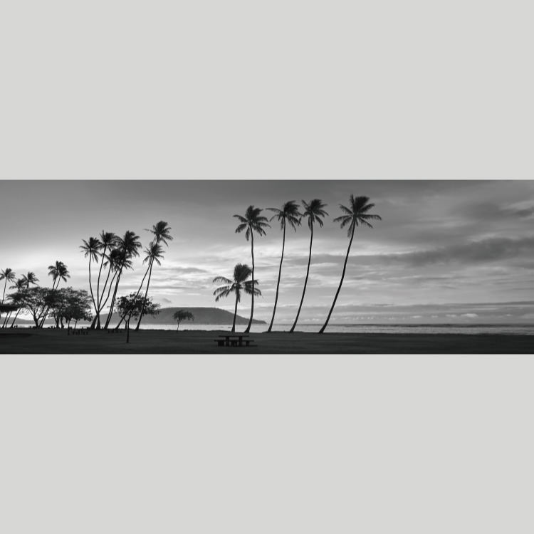 IGREBOW �ϥ磻 �������Υ��磻�����ӡ����ȥ䥷���ڡ�[����� 1��3] ��������ܥ� ����ƥꥢ�ե��� �ԥ����㡼������ �̿�